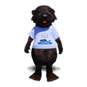 Beaver Mascot Costumes