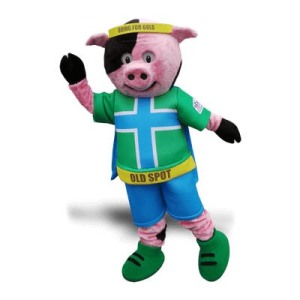 Pig Mascot Costume - made to promote being active